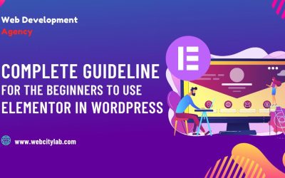 A Complete guideline for the beginners to use Elementor in WordPress