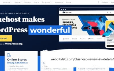 Bluehost Review in Details