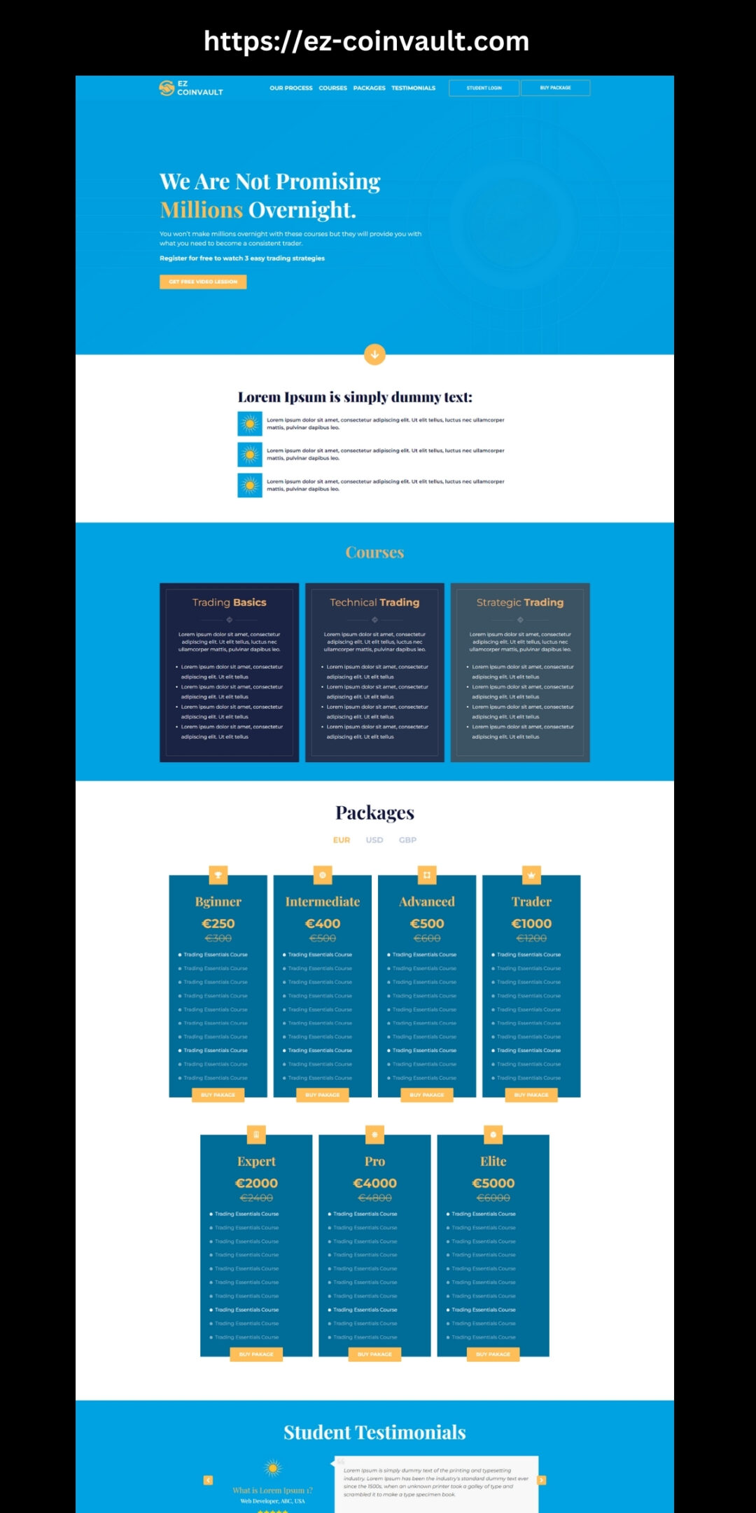 Enhance Your Online Presence with Web City Lab: EZ-CoinVault Success Story