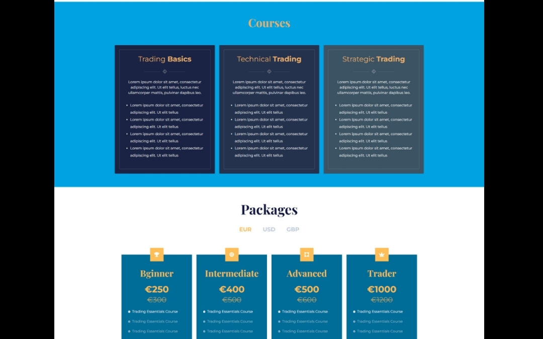 Enhance Your Online Presence with Web City Lab: EZ-CoinVault Success Story