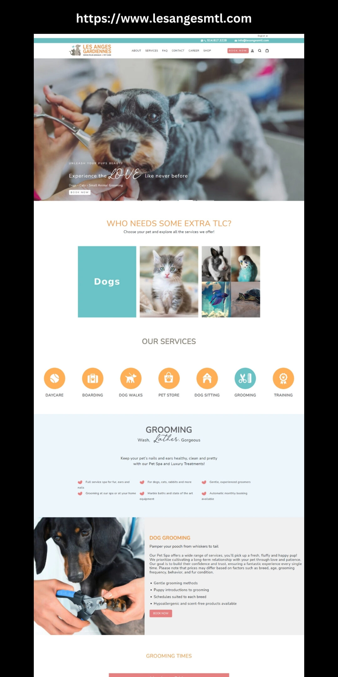 Elevate Your Online Presence with Web City Lab: LesAngesMTL.com Success Story