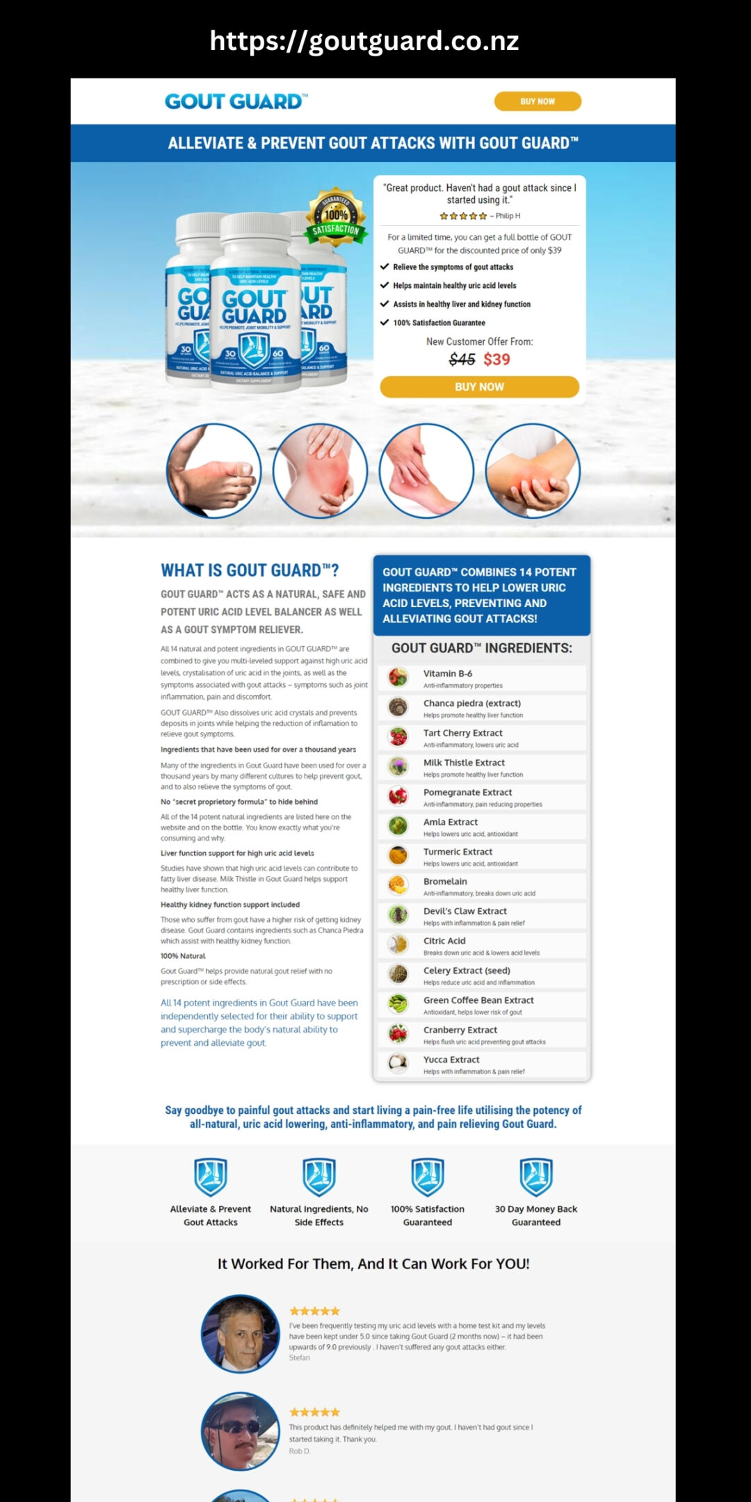 Elevate Your Online Presence with Web City Lab: GoutGuard.co.nz Success Story