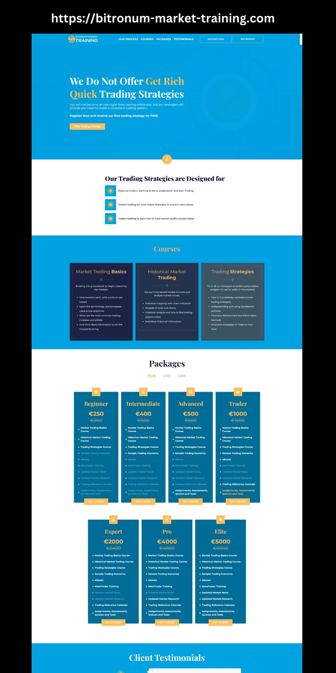 Elevate Your Online Presence with Web City Lab: Bitronum Market Training Success Story