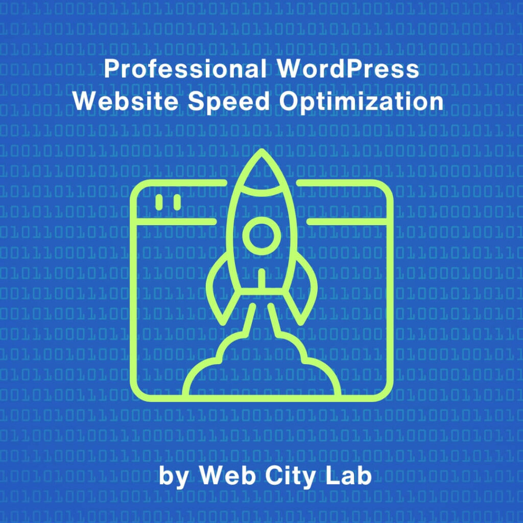 Professional WordPress Website Speed Optimization